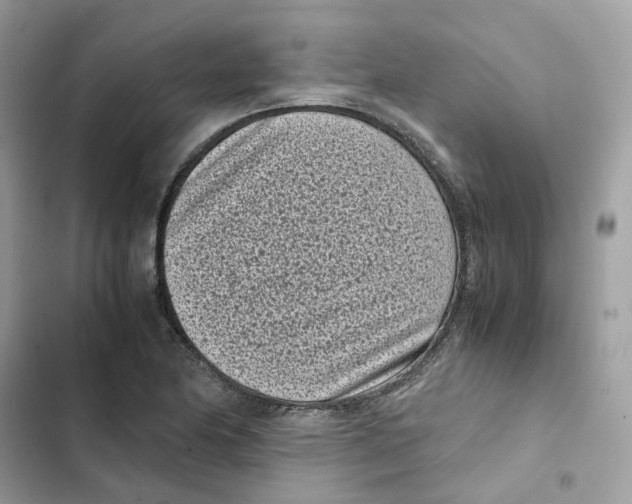 X0000101991174200808151417