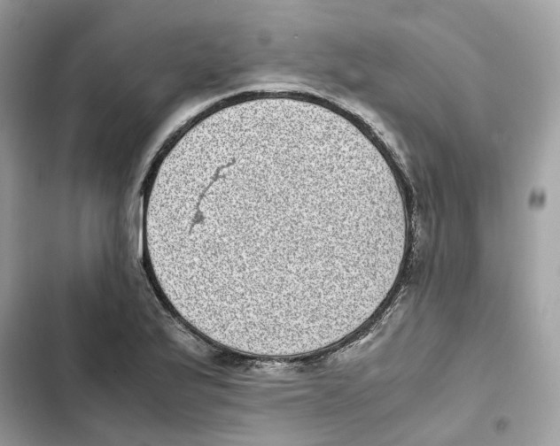 X0000101991175200808151417