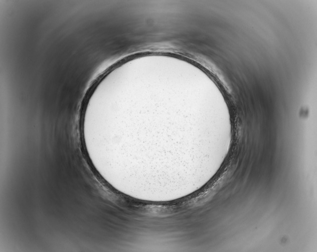 X0000101991176200808151417