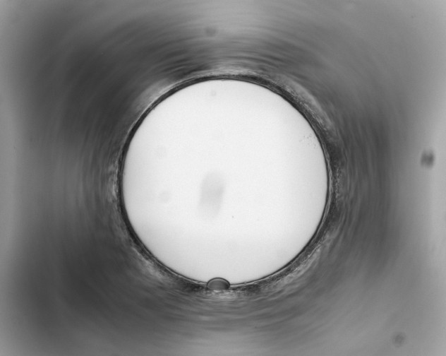 X0000101991177200808151417