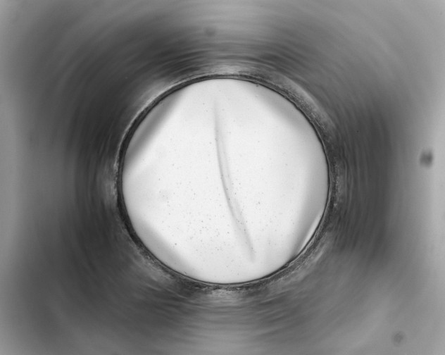 X0000101991178200808151417
