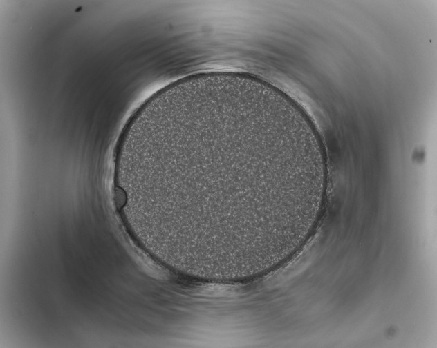 X0000101991179200808151417