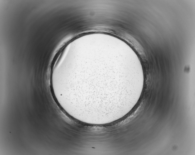X0000101991180200808151417