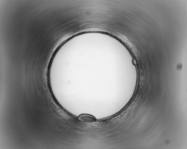 X0000101991181200808151417