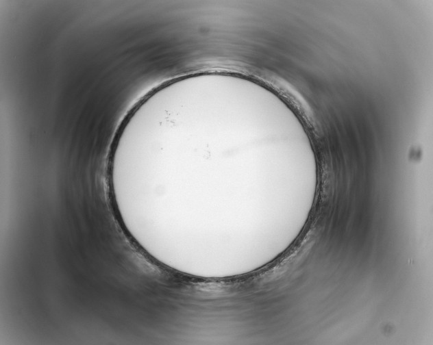 X0000101991182200808151417