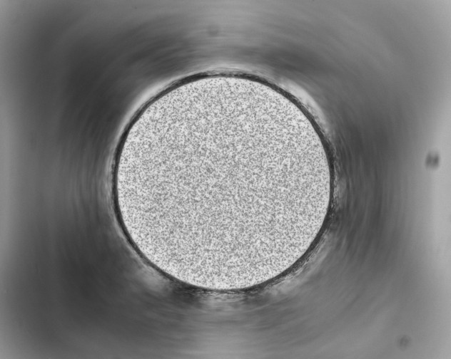 X0000101991183200808151417
