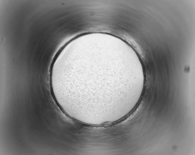 X0000101991184200808151417