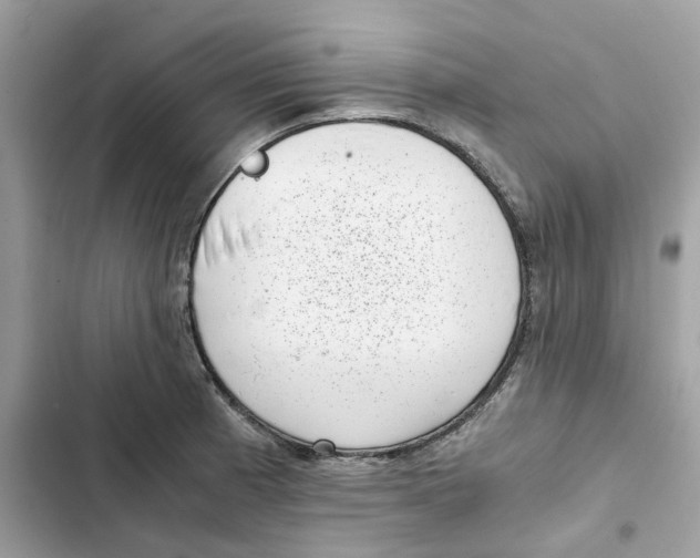 X0000101991185200808151417