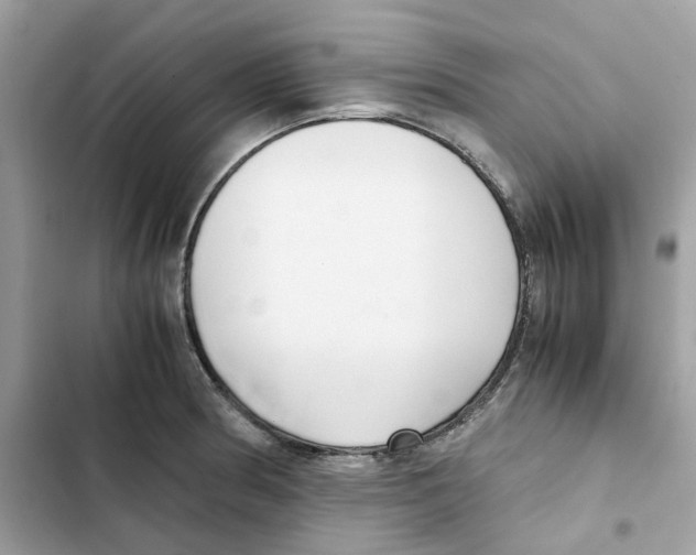 X0000101991186200808151417