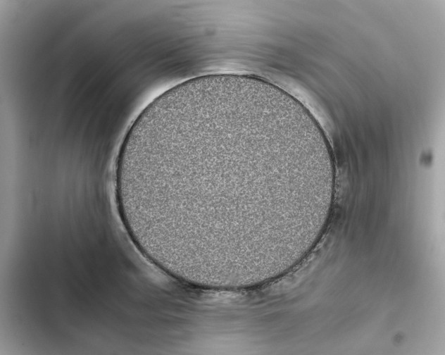 X0000101991187200808151417