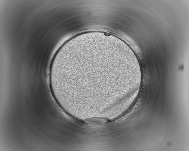 X0000101991188200808151417