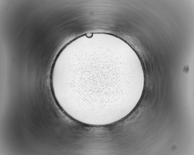 X0000101991189200808151417