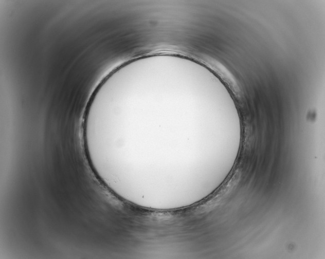 X0000101991190200808151417