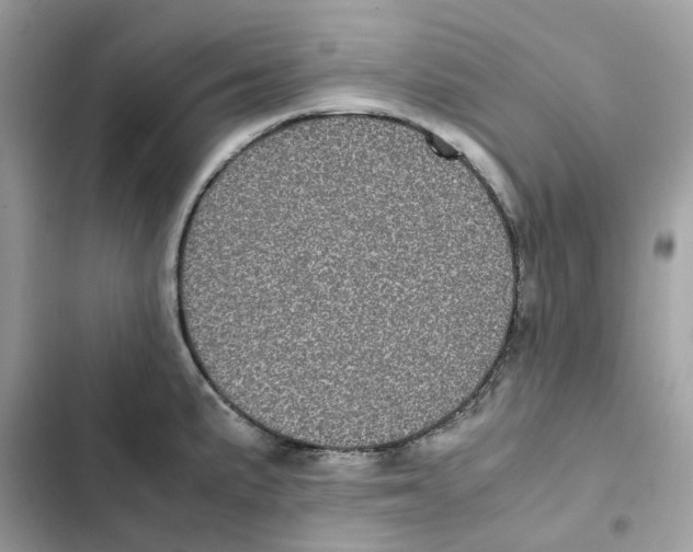 X0000101991191200808151417