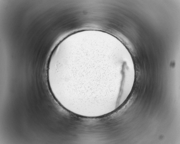 X0000101991192200808151417
