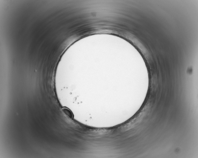 X0000101991193200808151417