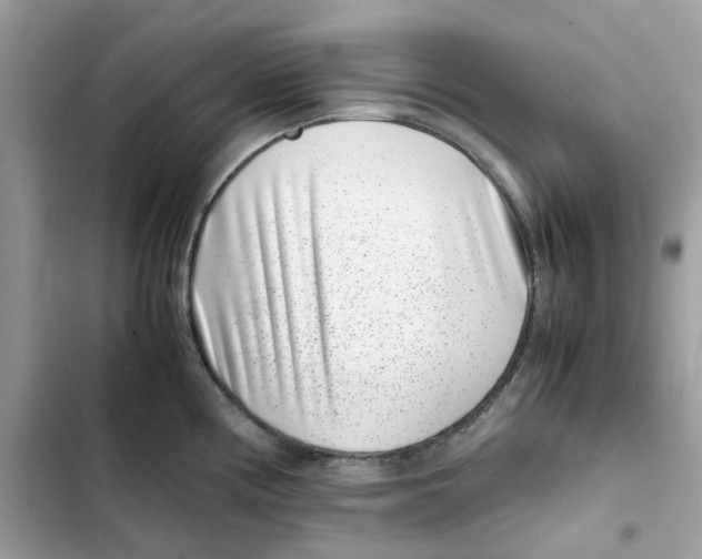 X0000101991194200808151417