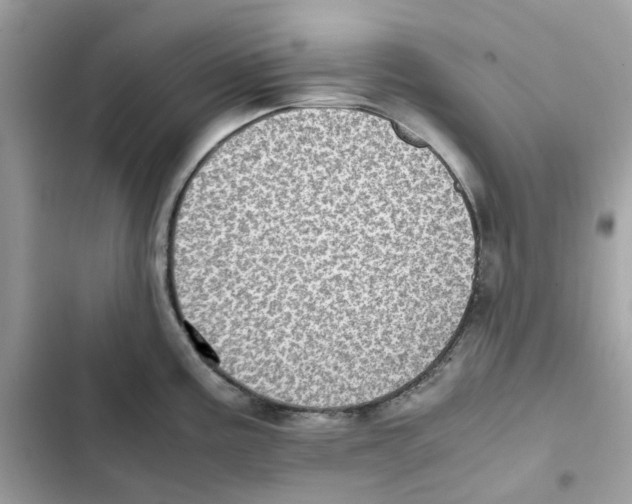 X0000101991195200808151417