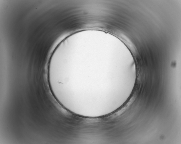 X0000101991196200808151417