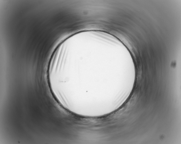 X0000101991197200808151417