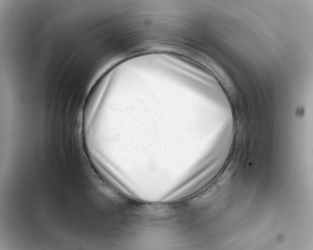 X0000101991198200808151417