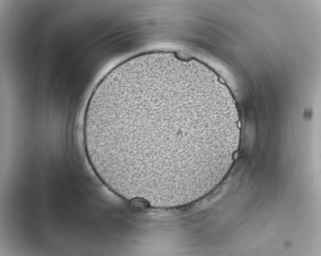 X0000101991199200808151416