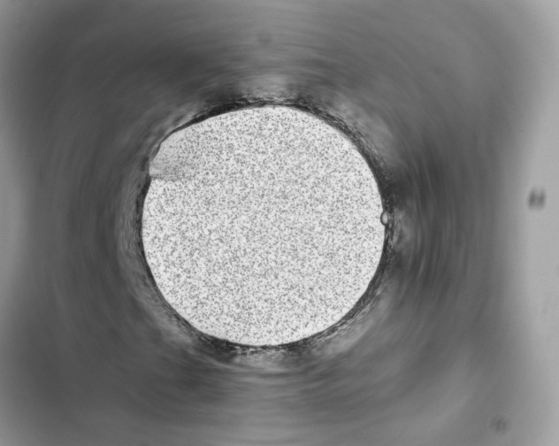 X0000101991201200808151416