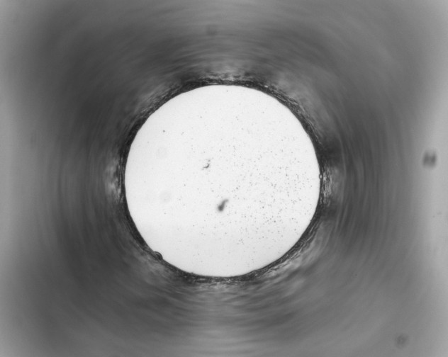 X0000101991202200808151416