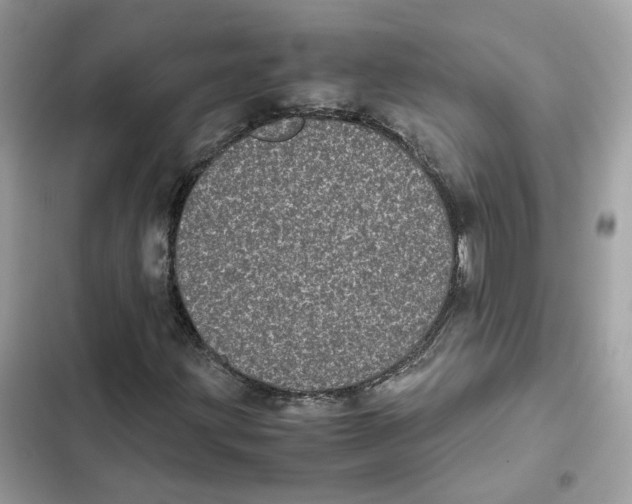 X0000101991203200808151416