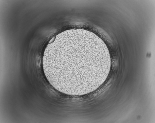 X0000101991204200808151416