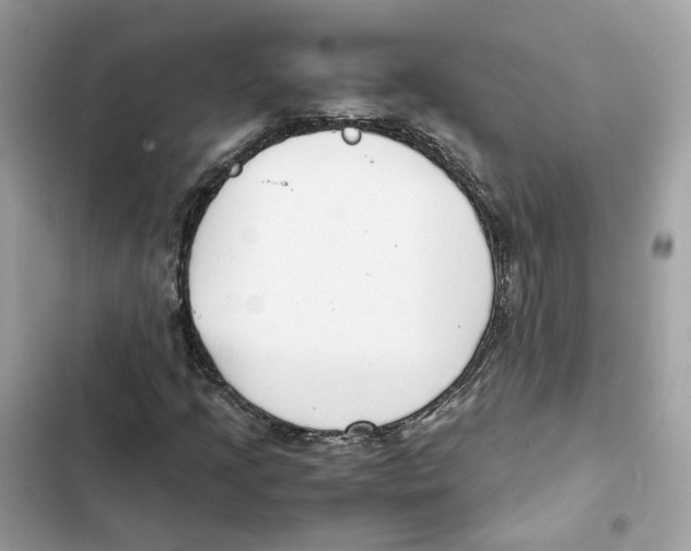 X0000101991205200808151416