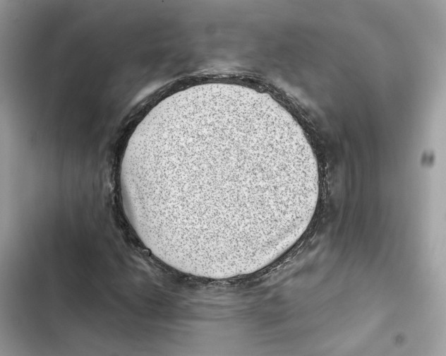 X0000101991206200808151416