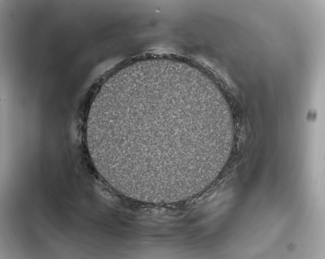 X0000101991207200808151416