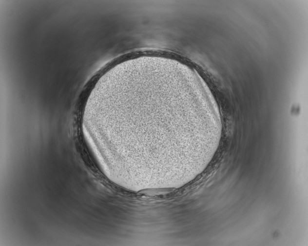 X0000101991208200808151416