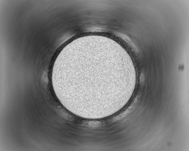 X0000101991209200808151416