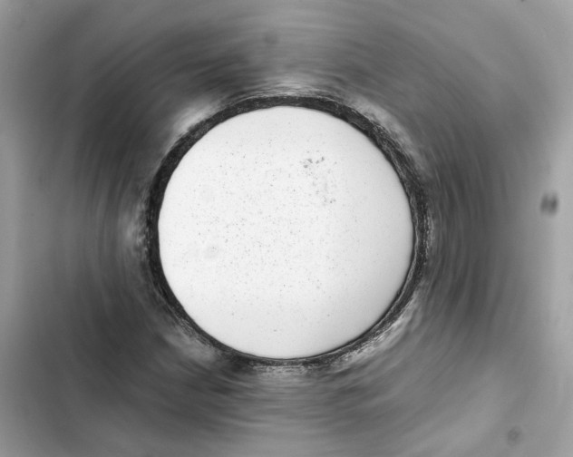 X0000101991210200808151416