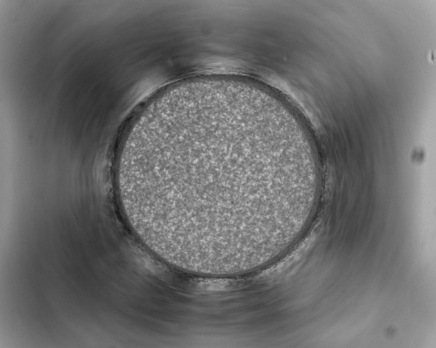 X0000101991211200808151416