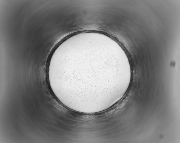 X0000101991212200808151416