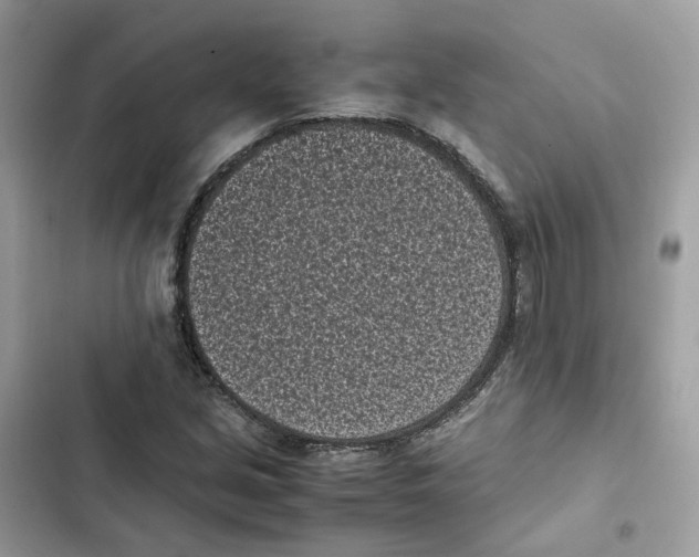 X0000101991213200808151416