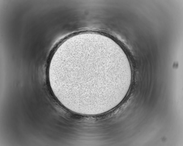 X0000101991214200808151416