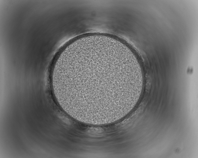 X0000101991215200808151416