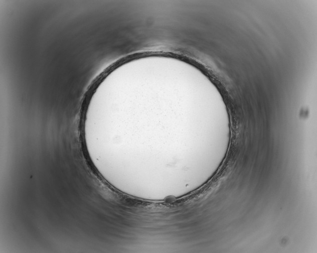X0000101991216200808151416