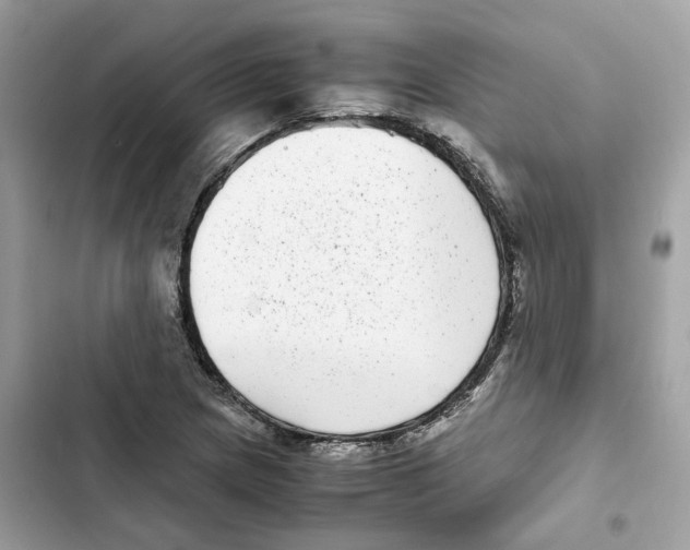 X0000101991217200808151416
