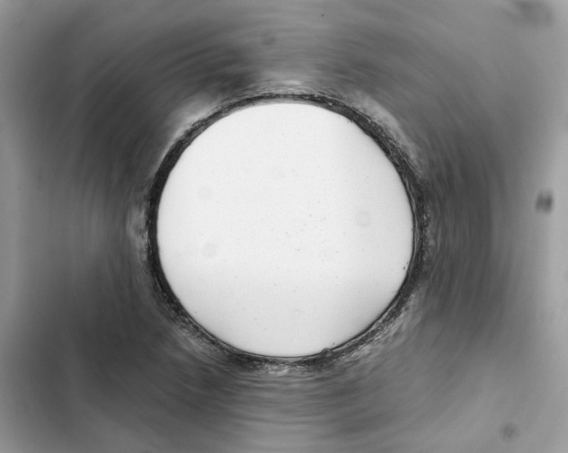 X0000101991218200808151416
