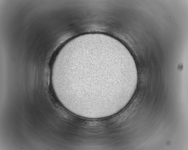 X0000101991219200808151416