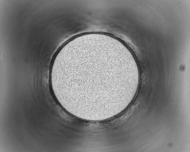 X0000101991220200808151416