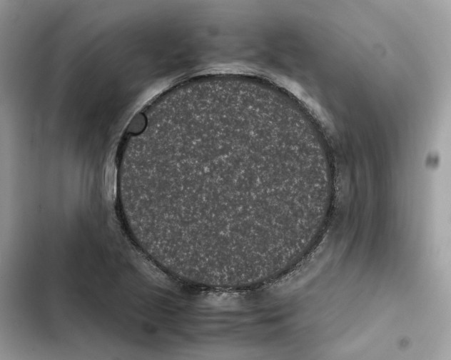 X0000101991221200808151416