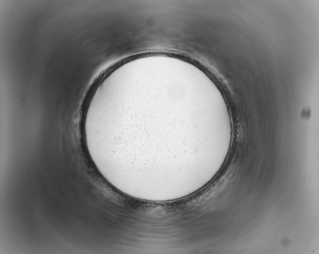 X0000101991222200808151416
