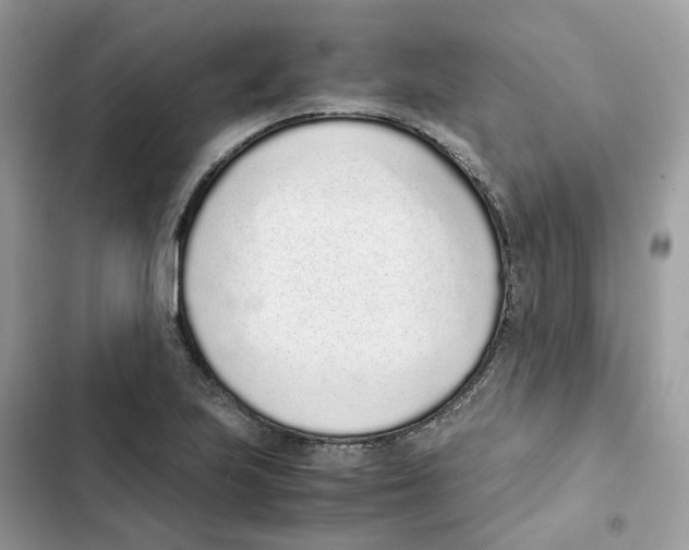 X0000101991223200808151416