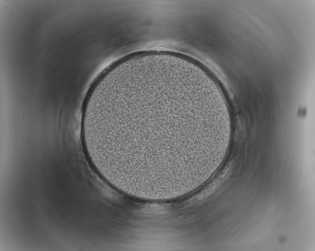 X0000101991224200808151416